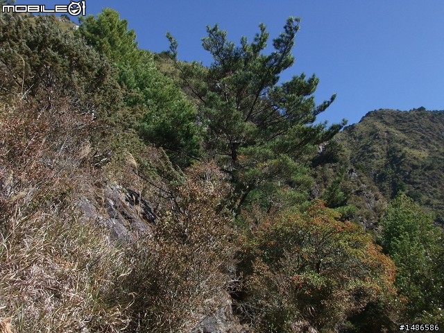 分享玉山暴走未公開照片