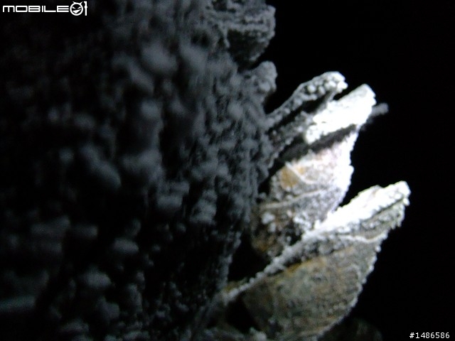 分享玉山暴走未公開照片