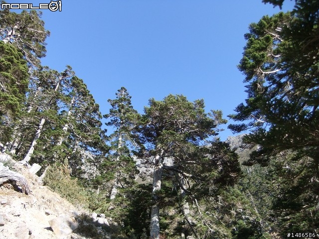 分享玉山暴走未公開照片