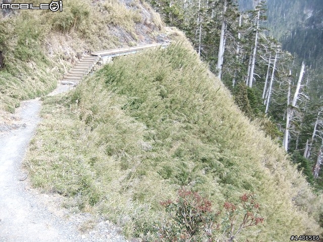 分享玉山暴走未公開照片