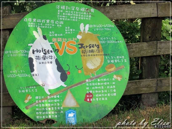 飛牛牧場~來跟小動物們做朋友