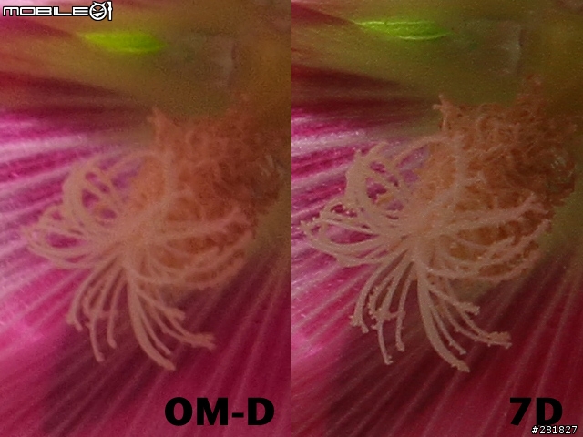 Olympus E-M5 Kit vs Canon 7D+24-70L 實拍畫質比較