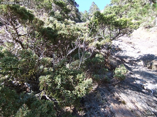分享玉山暴走未公開照片