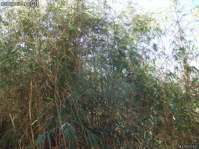 分享玉山暴走未公開照片