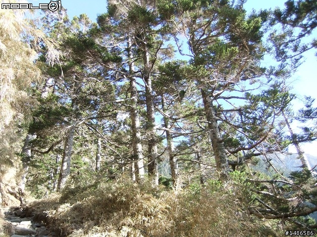 分享玉山暴走未公開照片