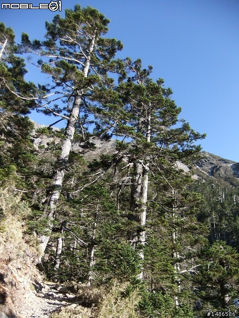 分享玉山暴走未公開照片
