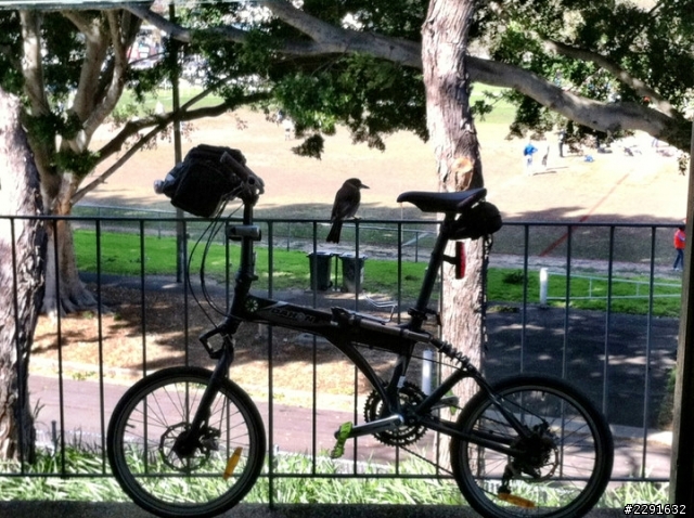 Jetstream的prototype(JS的爸爸)-Dahon Groove