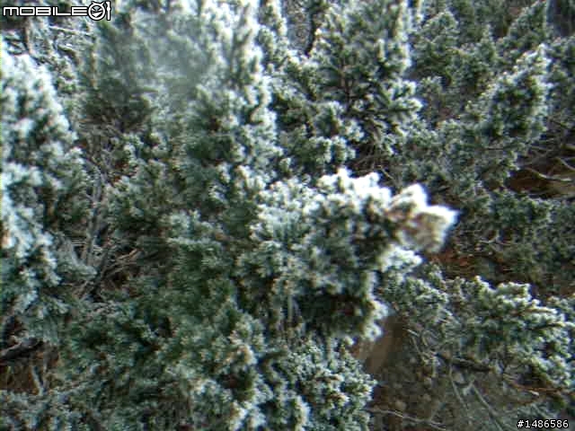 分享玉山暴走未公開照片