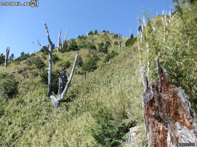 分享玉山暴走未公開照片