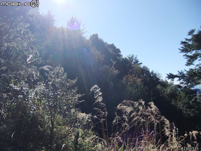 分享玉山暴走未公開照片