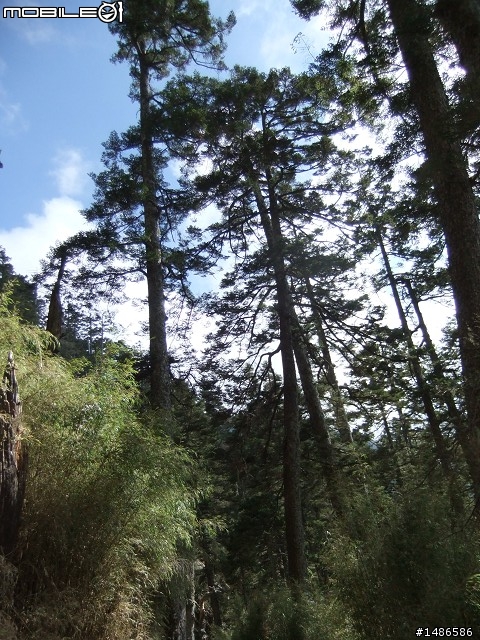 分享玉山暴走未公開照片