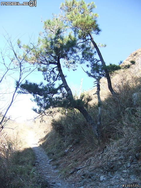 分享玉山暴走未公開照片