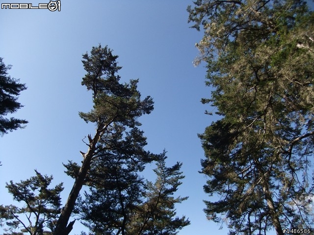 分享玉山暴走未公開照片