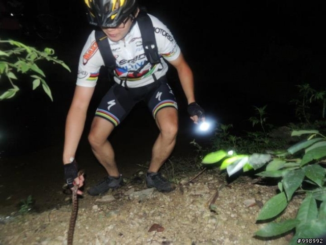 夜騎巧遇六大毒蛇之首...