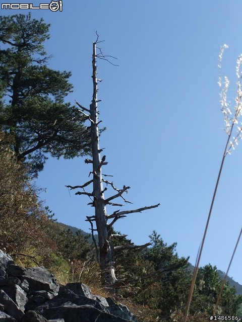 分享玉山暴走未公開照片