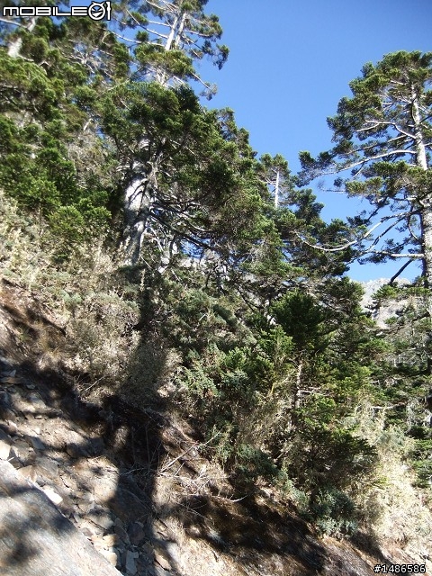 分享玉山暴走未公開照片
