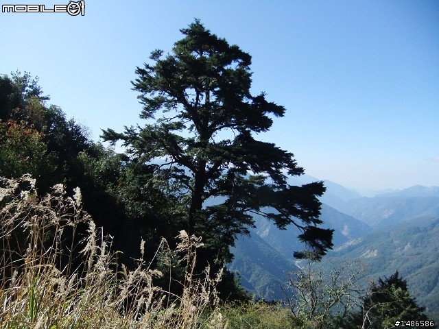 分享玉山暴走未公開照片