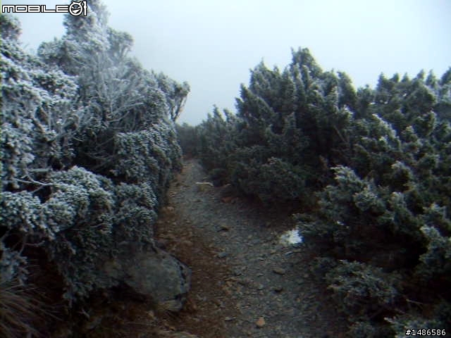 分享玉山暴走未公開照片