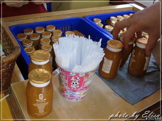 飛牛牧場~來跟小動物們做朋友