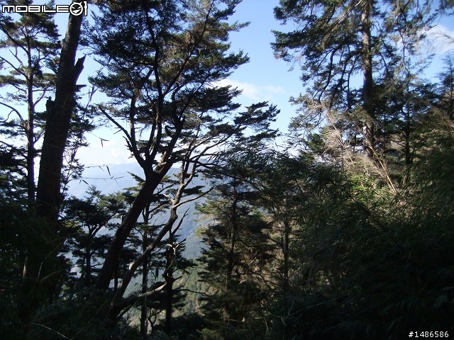 分享玉山暴走未公開照片