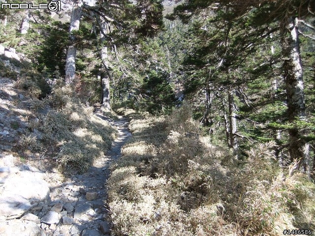 分享玉山暴走未公開照片