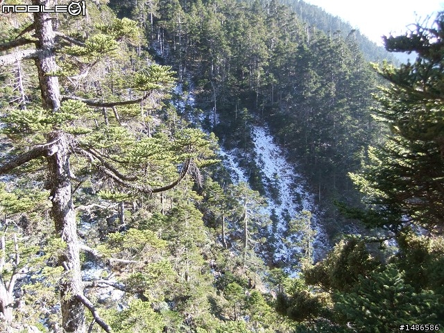 分享玉山暴走未公開照片