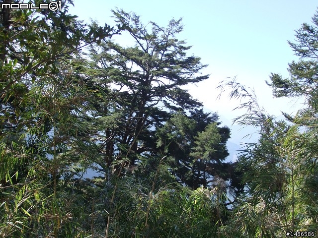分享玉山暴走未公開照片