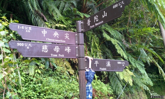 普陀山.孝子山.慈母峰.慈母嶺