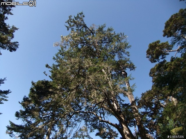 分享玉山暴走未公開照片