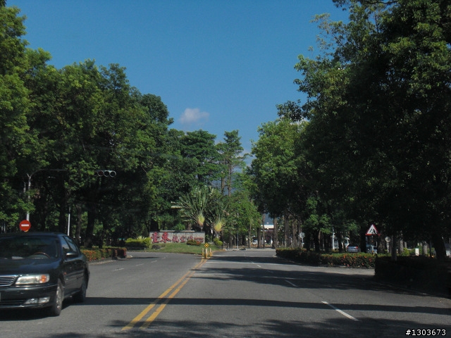 Fiesta之金針山與熱汽球