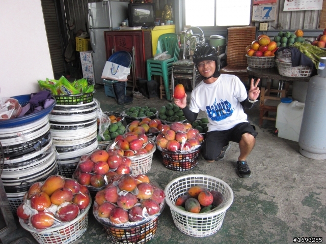 一個香港人踩brompton單車環台12天