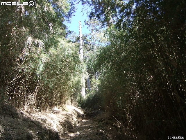 分享玉山暴走未公開照片