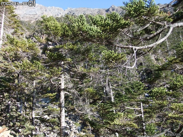 分享玉山暴走未公開照片