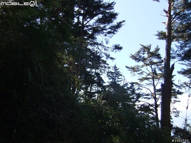 分享玉山暴走未公開照片