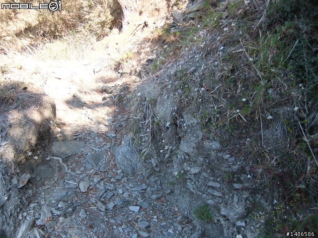 分享玉山暴走未公開照片