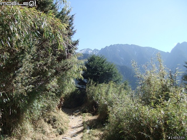 分享玉山暴走未公開照片
