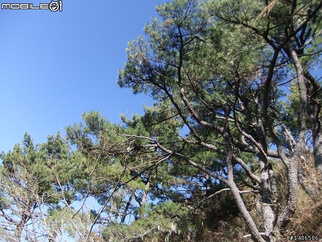 分享玉山暴走未公開照片