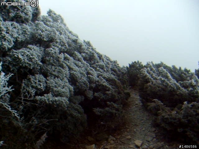 分享玉山暴走未公開照片