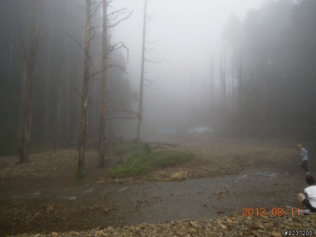 水漾森林陪走記