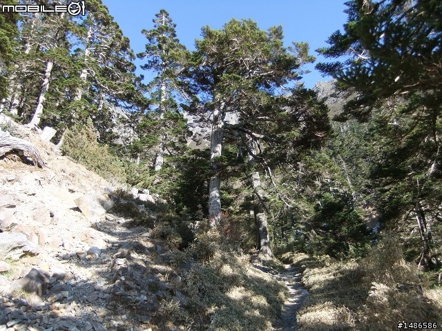 分享玉山暴走未公開照片