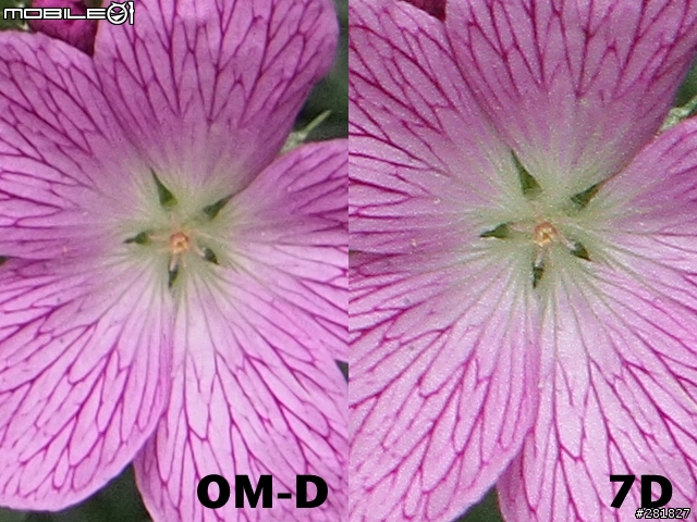 Olympus E-M5 Kit vs Canon 7D+24-70L 實拍畫質比較