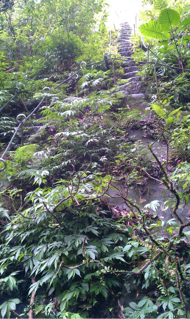 普陀山.孝子山.慈母峰.慈母嶺