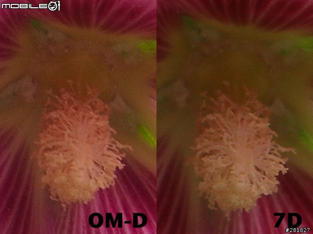 Olympus E-M5 Kit vs Canon 7D+24-70L 實拍畫質比較