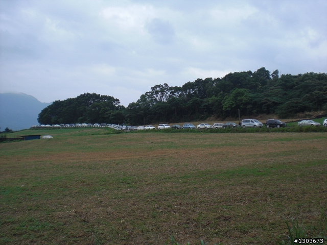 Fiesta之金針山與熱汽球