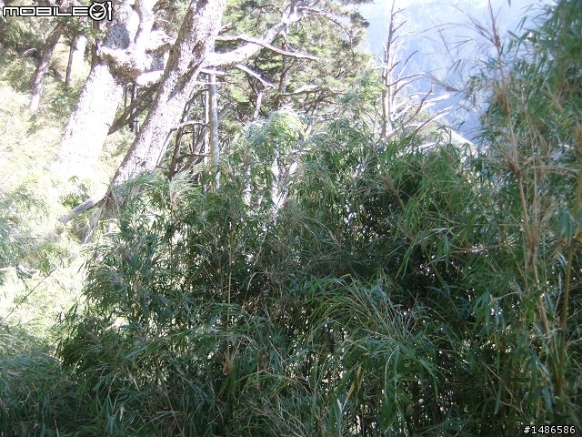 分享玉山暴走未公開照片
