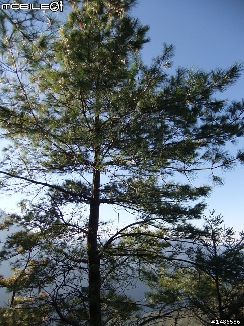 分享玉山暴走未公開照片