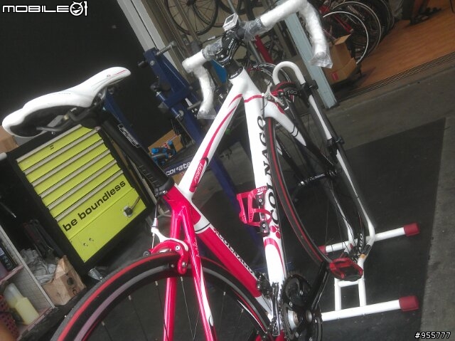 COLNAGO