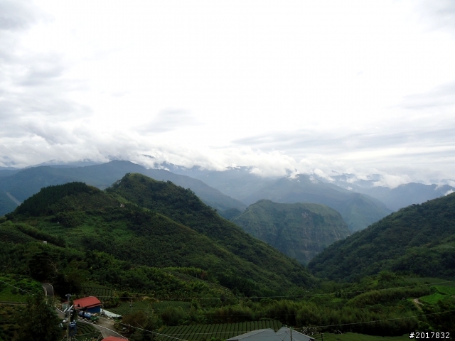 2012-8-26-27天秤二度來襲前(阿里山茶鄉之旅)