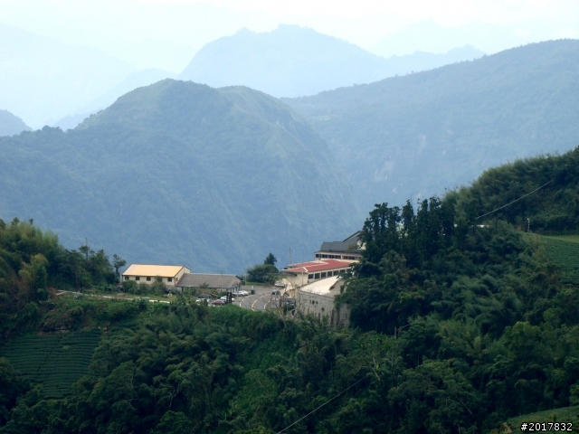 2012-8-26-27天秤二度來襲前(阿里山茶鄉之旅)