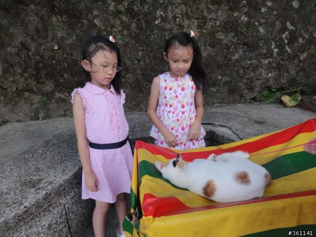 Fiesta 24小時新車試駕之平溪老街巡禮